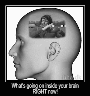 Inside your brain
